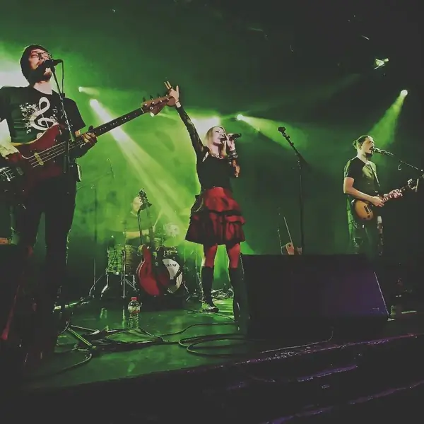 The Lizberries' 2025: unforgettable music 🎶💚